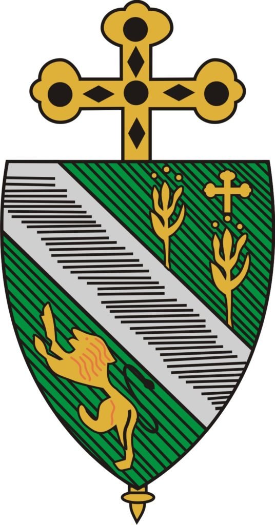 Actualización de las normas de comportamiento para la protección de menores y personas vulnerables