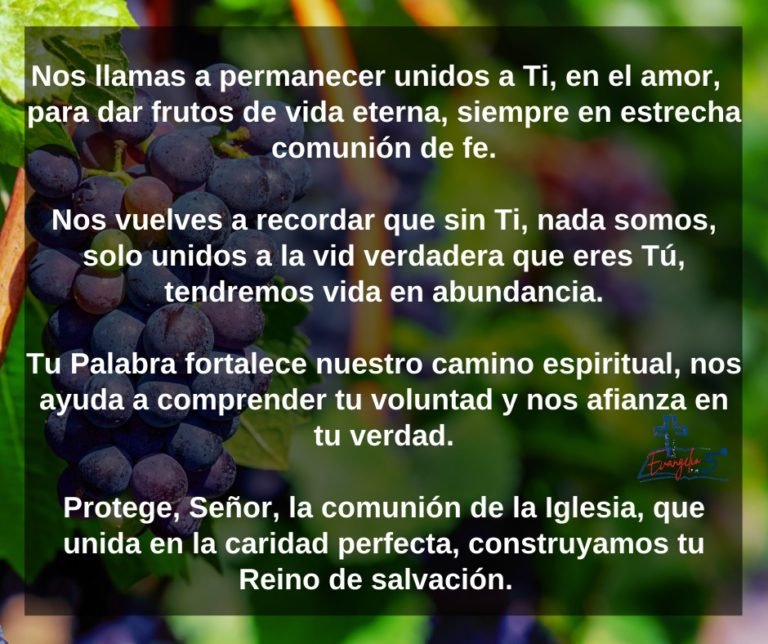 La Vid Verdadera by Mons. Alberto Rolón
