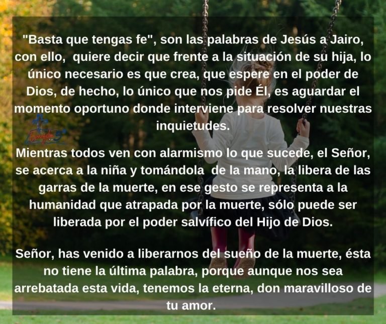 Domingo XIII del Tiempo Ordinario by Mons. Alberto Rolón