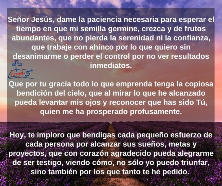 Domingo XI del Tiempo Ordinario by Mons. Alberto Rolón