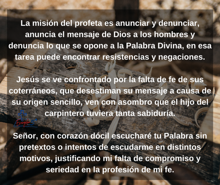 Domingo XIV del Tiempo Ordinario