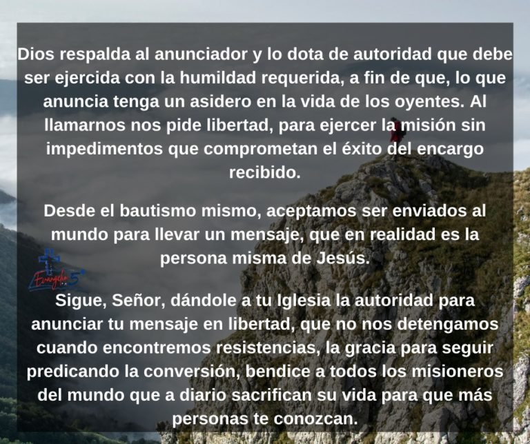 Domingo XV del Tiempo Ordinario by Mons. Alberto Rolón