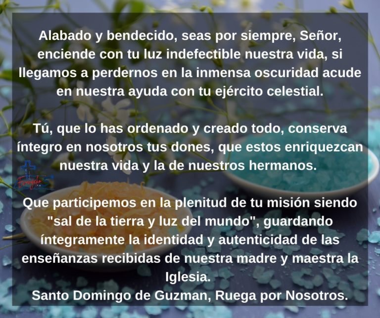 Domingo XIX del Tiempo Ordinario by Mons. Alberto Rolón