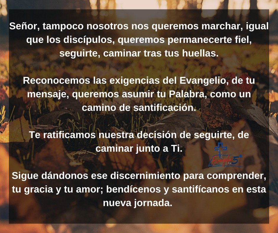 Domingo XXI del Tiempo Ordinario by Mons. Alberto Rolón