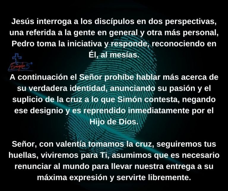 Domingo XXIV del Tiempo Ordinario by Mons. Alberto Rolón