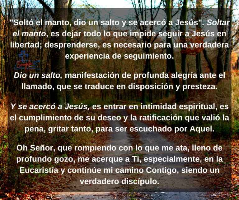 Domingo XXX del Tiempo Ordinario by Mons. Alberto Rolón