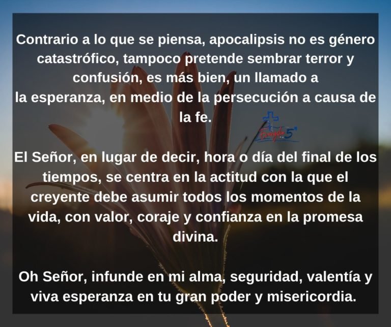 Domingo XXXIII del Tiempo Ordinario by Mons. Alberto Rolón