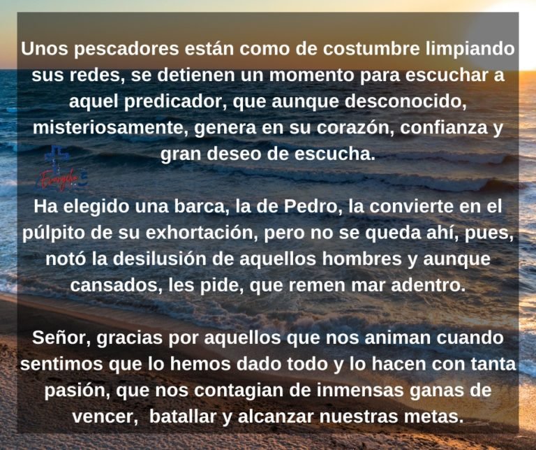 Domingo V Tiempo Ordinario by Mons. Alberto Rolón