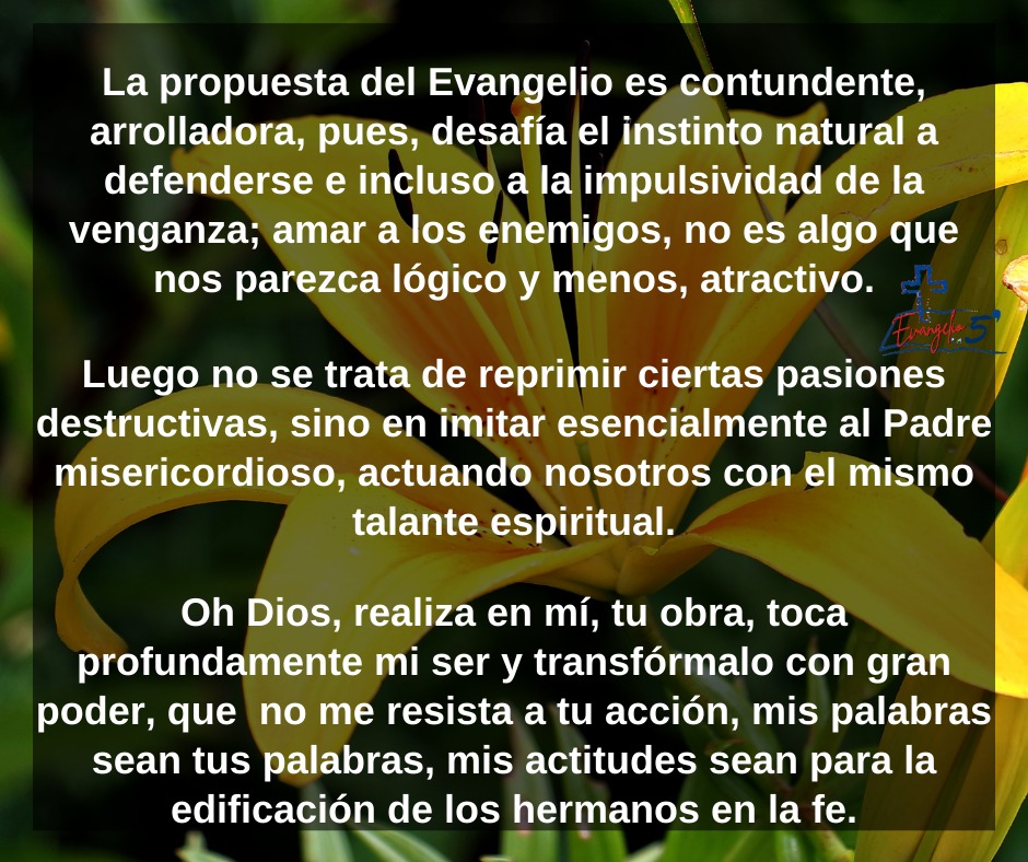 Domingo VII del Tiempo Ordinario by Mons. Alberto Rolón