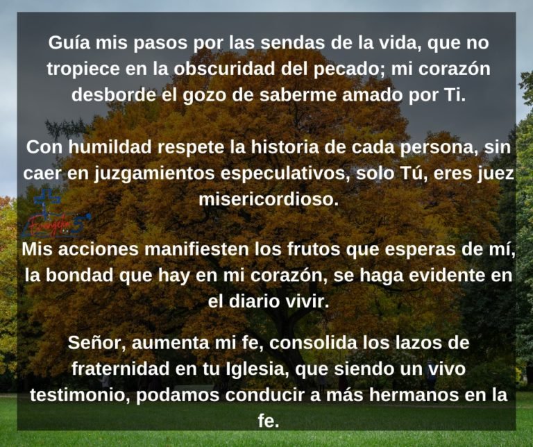 Domingo VIII del Tiempo Ordinario by Mons. Alberto Rolón