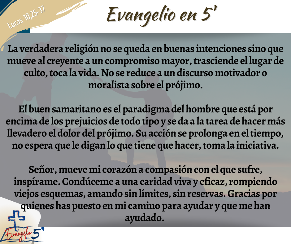 Domingo XV del Tiempo Ordinario by Mons. Alberto Rolón