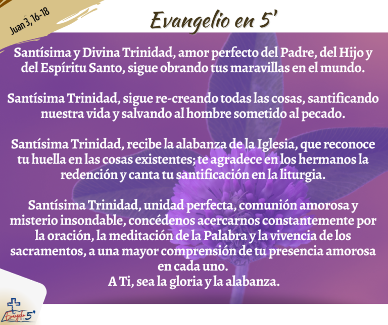 Domingo de la Santísima Trinidad 2023 by Mons. Alberto Rolón