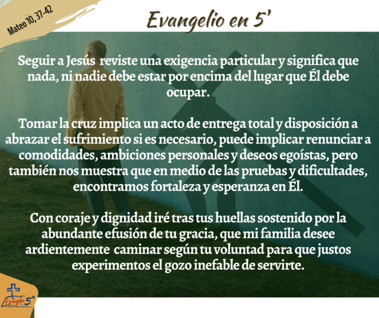 Domingo XIII del Tiempo Ordinario by Mons. Alberto Rolón